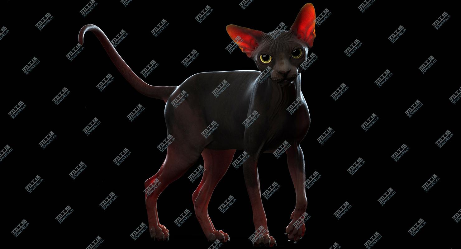 images/goods_img/2021040165/Sphynx Cat 3D/4.jpg